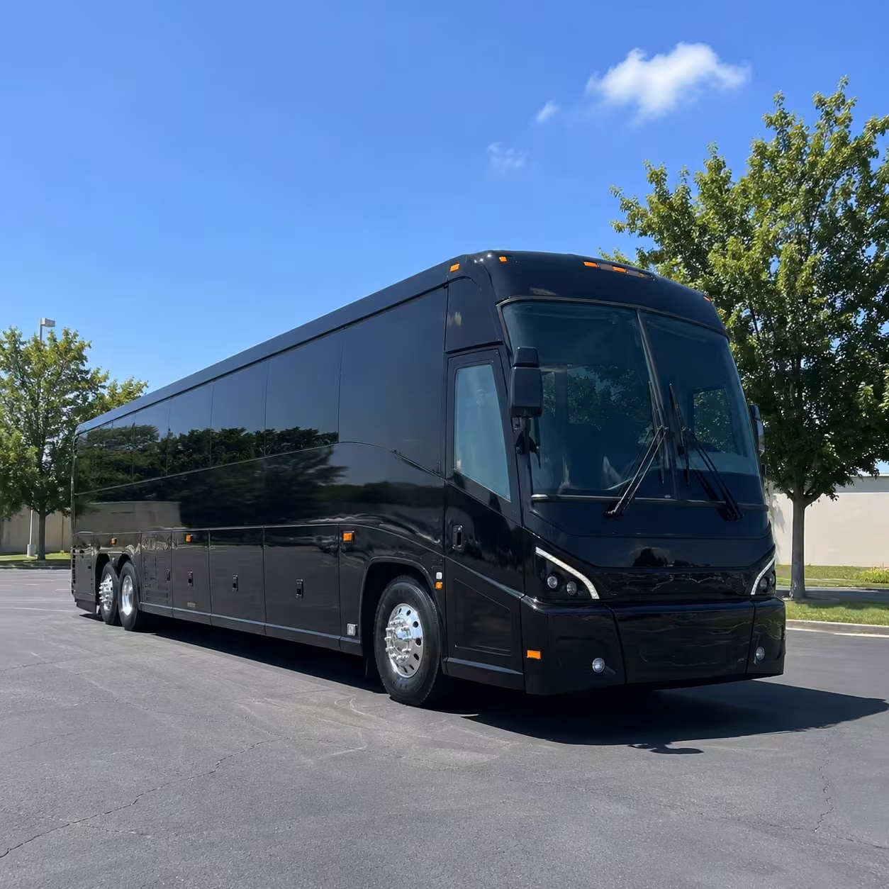 40 56 passenger charter bus