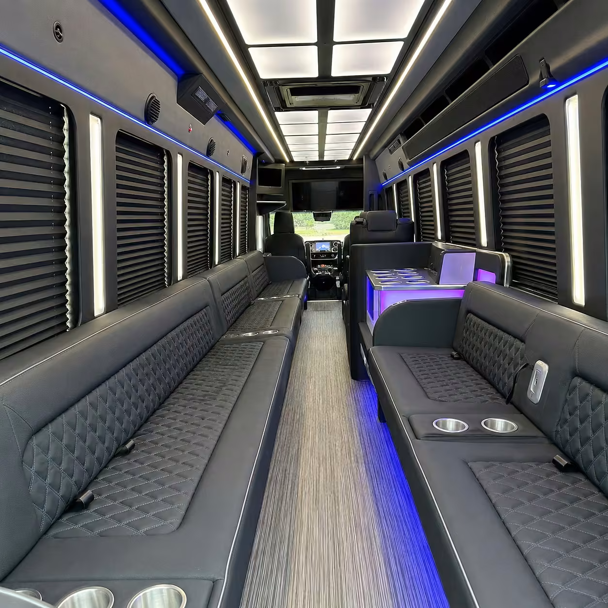 50 passenger party bus interior